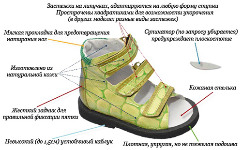 составные компоненты правильной ортопедической обуви